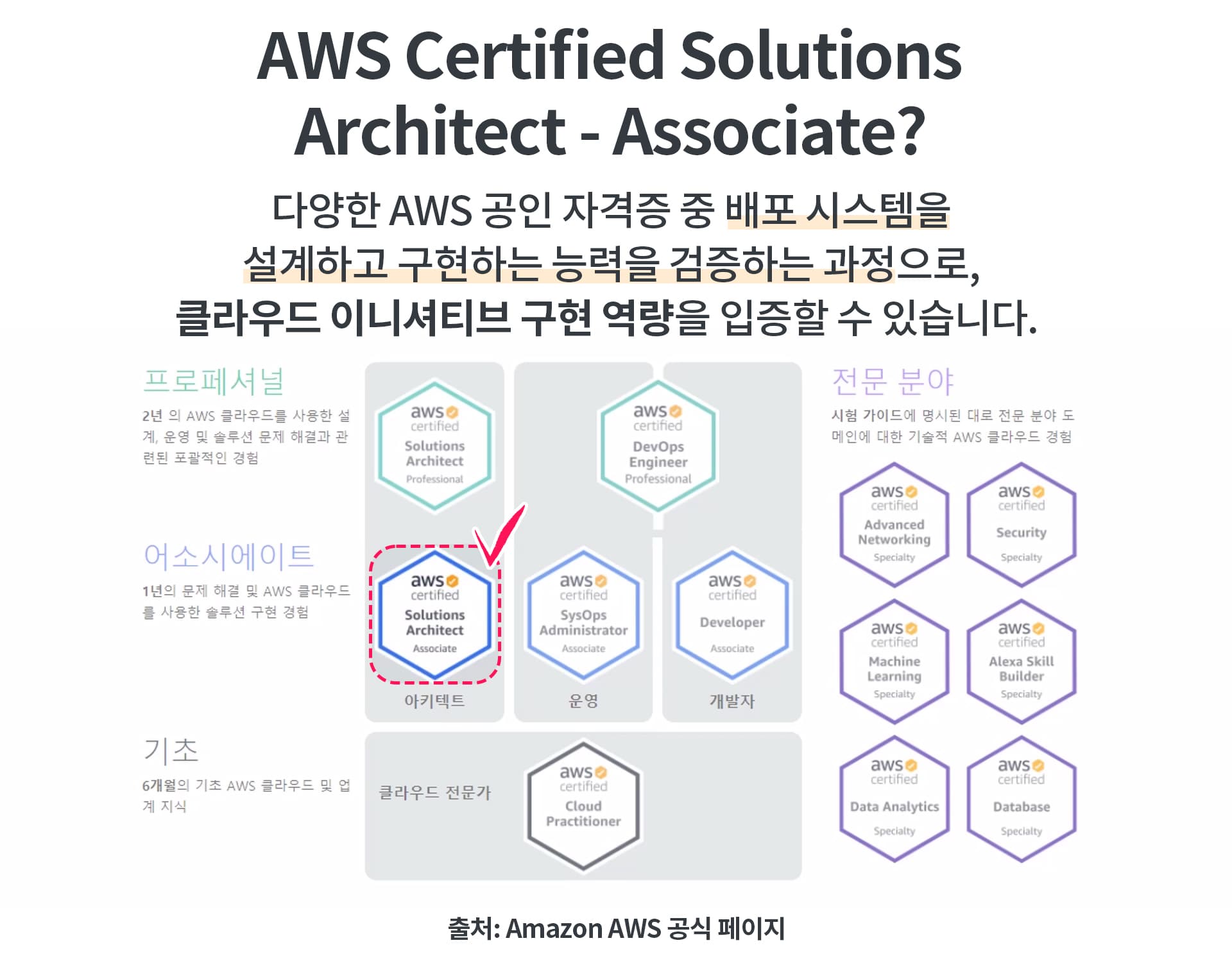AWS SAA 시험 도메인 학습 범위