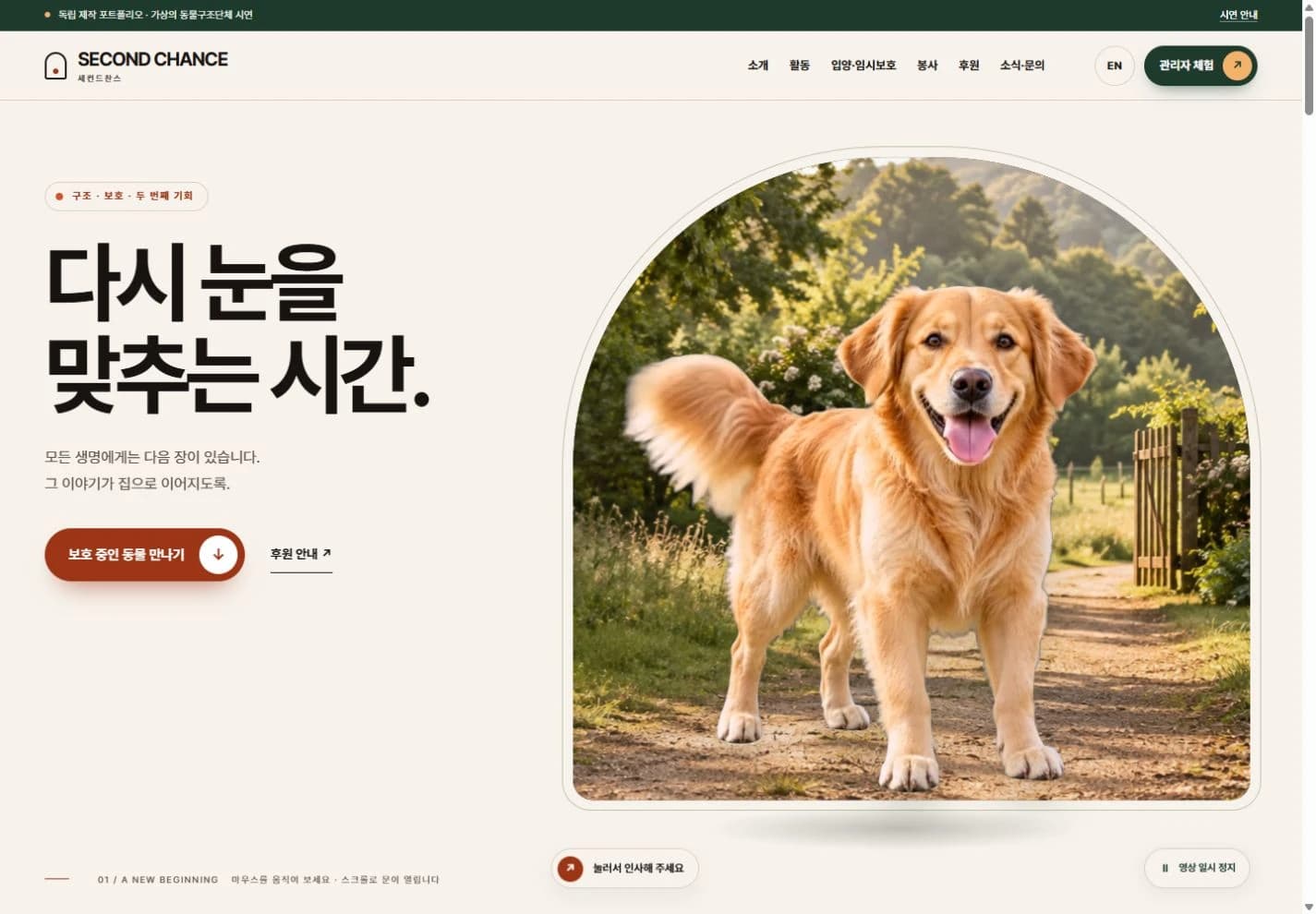 SECOND CHANCE — 동물구조 웹사이트와 CMS 대표 제작 화면